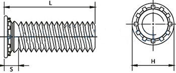 压铆忘忧草WWW在线安装